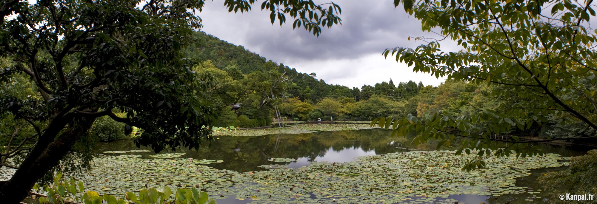 Que faire au Japon en septembre