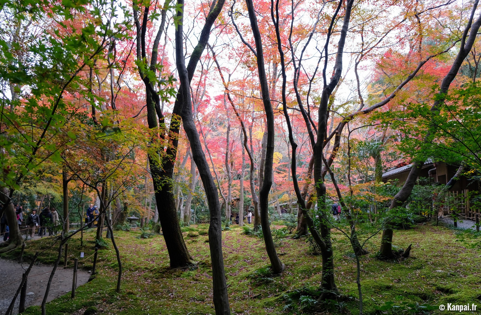 Www Kanpai Fr Sites Default Files Styles Og Public Uploads 17 12 Gio Ji 8 Jpg