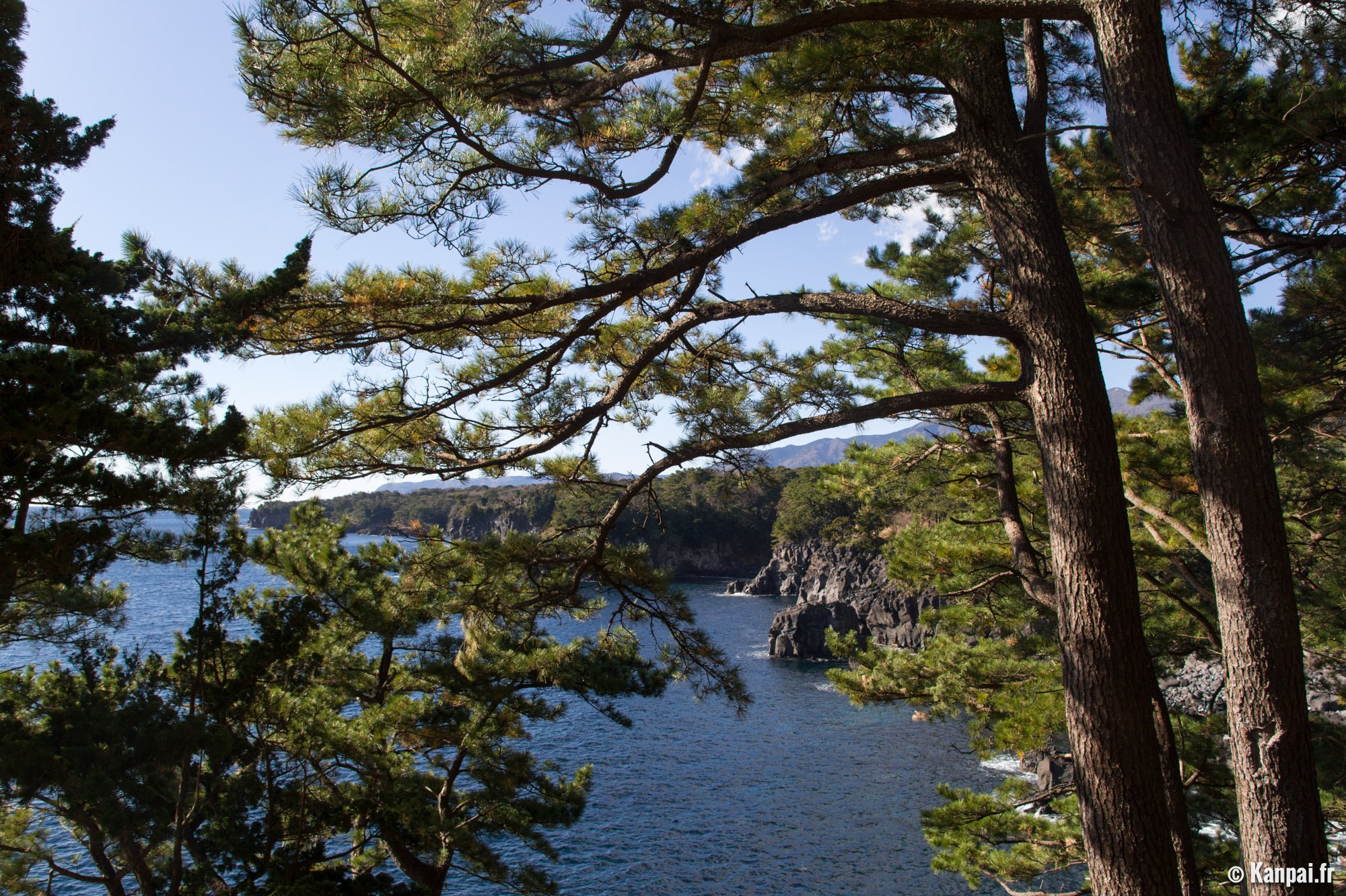 Péninsule d'Izu – La destination balnéaire de Shizuoka