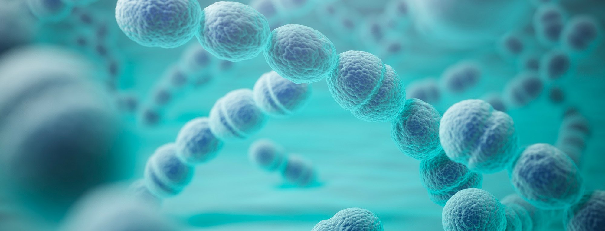 Le streptocoque du groupe A au Japon : la bactérie buzz du printemps ...