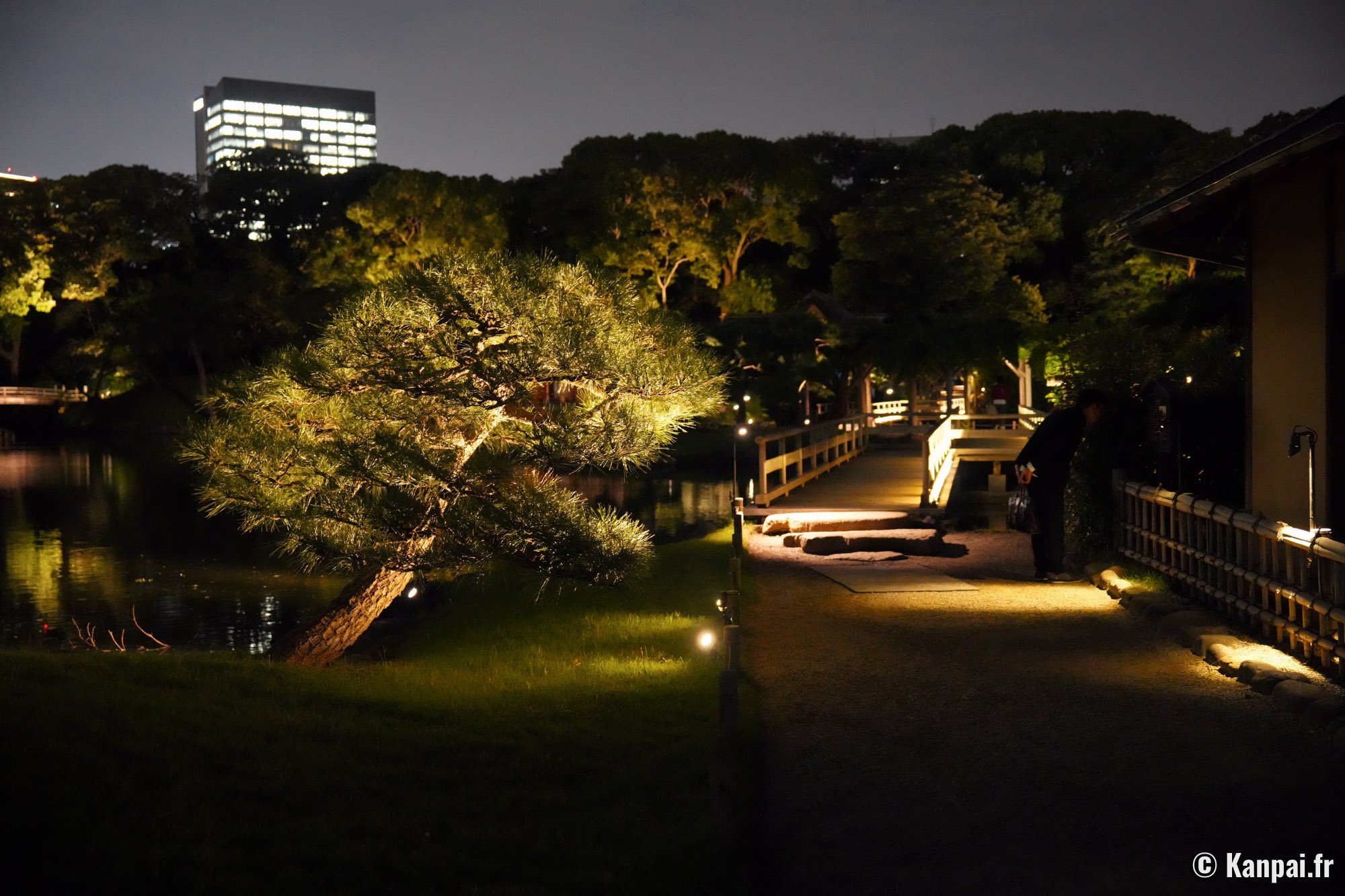 Hamarikyu Tsukimi Sanpo – 🎑 La promenade sous la pleine Lune de l'automne