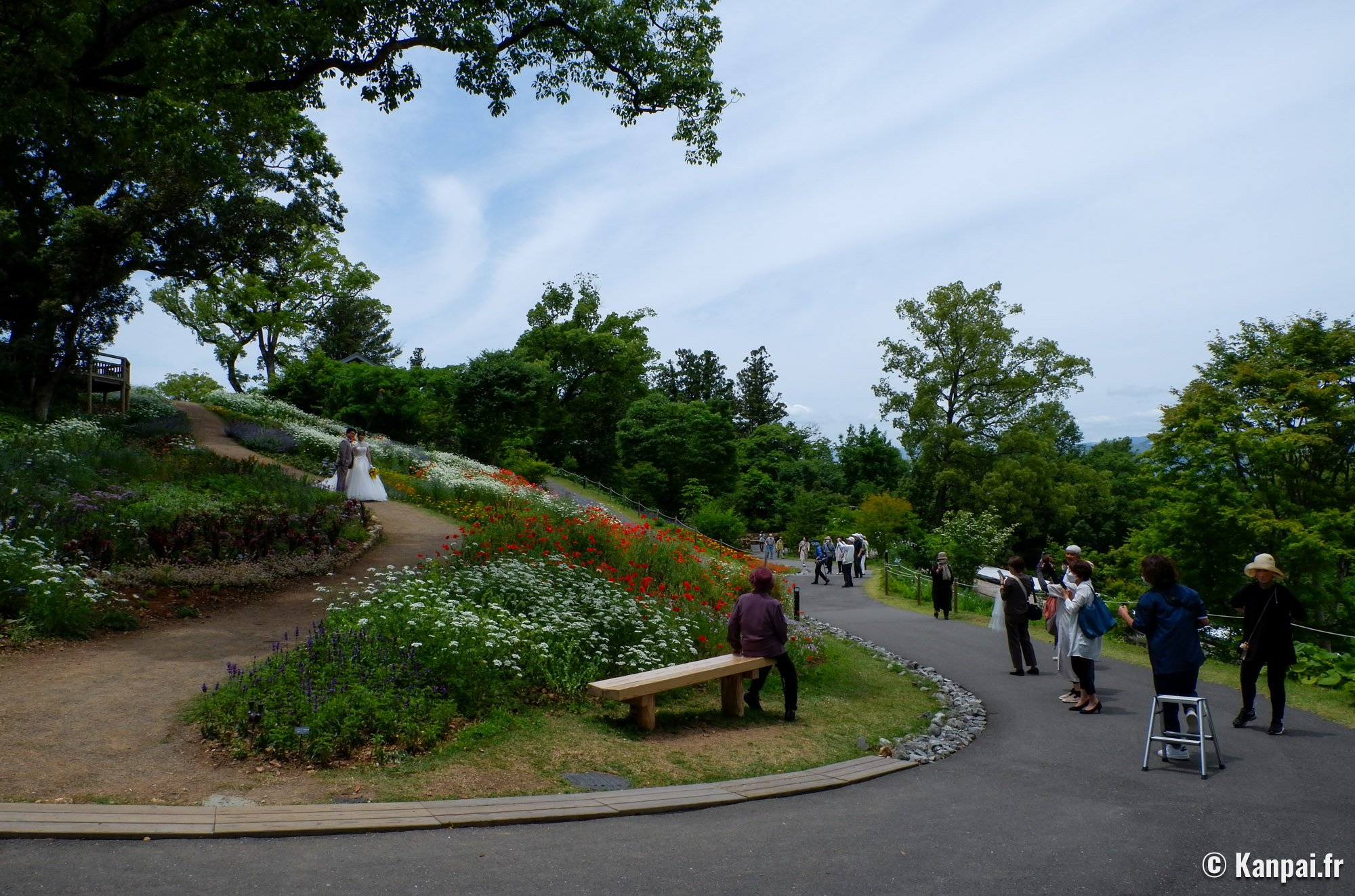 Jardin botanique Makino – L'hommage au fondateur de la botanique japonaise