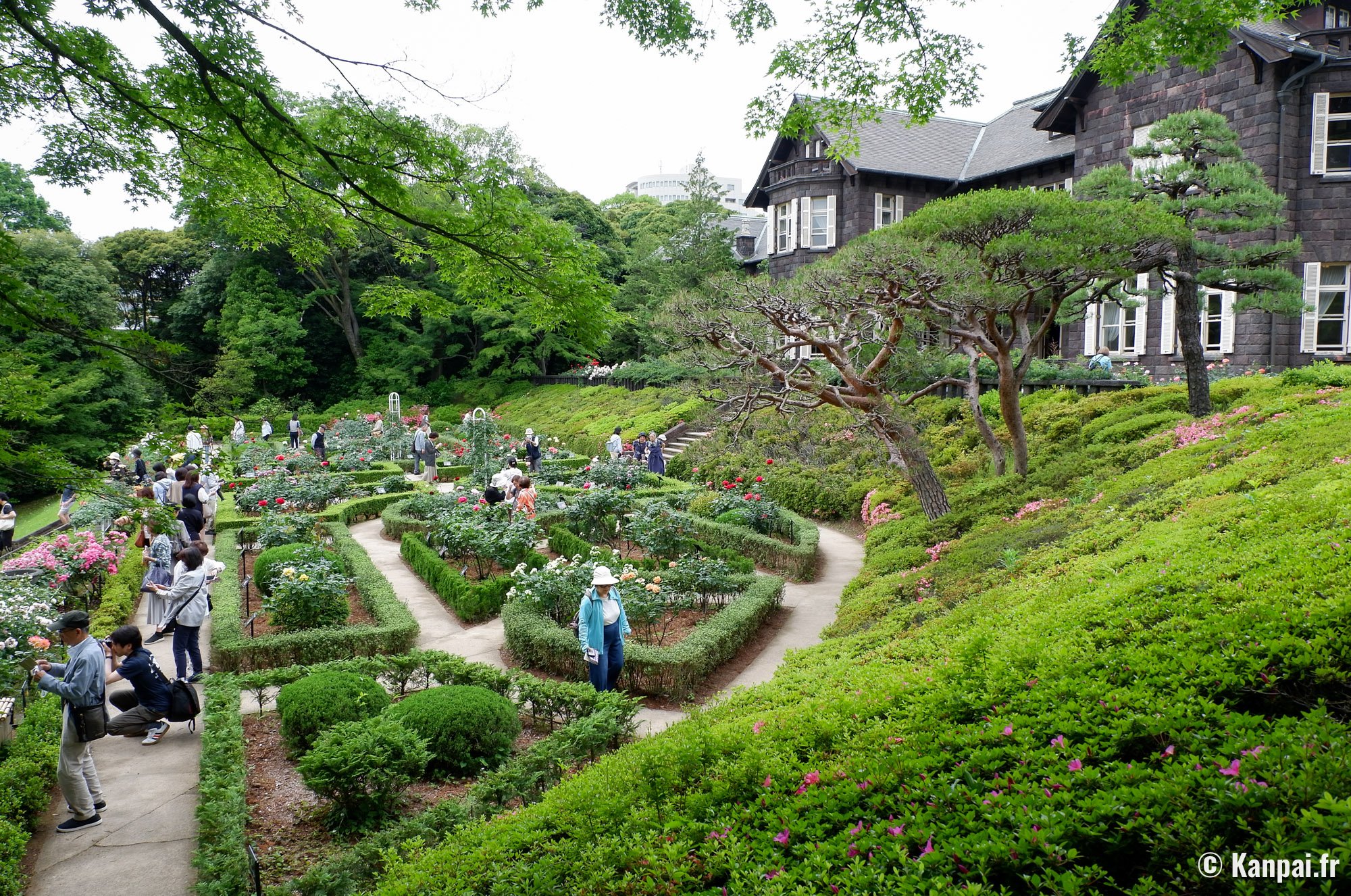 Kyu Furukawa Teien – 🌹Le jardin de roses au nord de Tokyo
