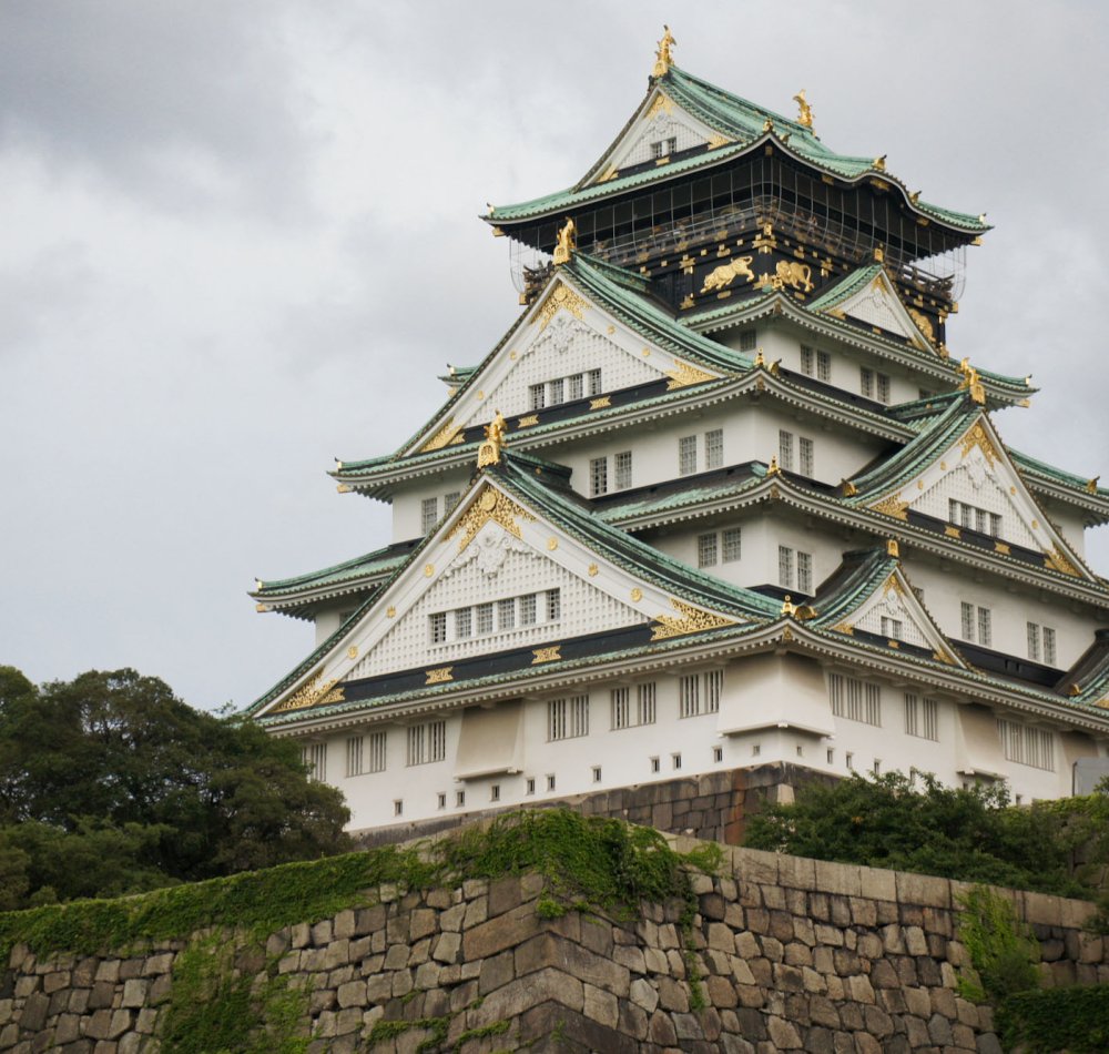 Chateau d'Osaka, vue sur les cerisiers en fleur et le donjon