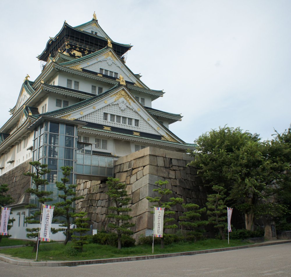 Chateau d'Osaka, vue sur les cerisiers en fleur et le donjon