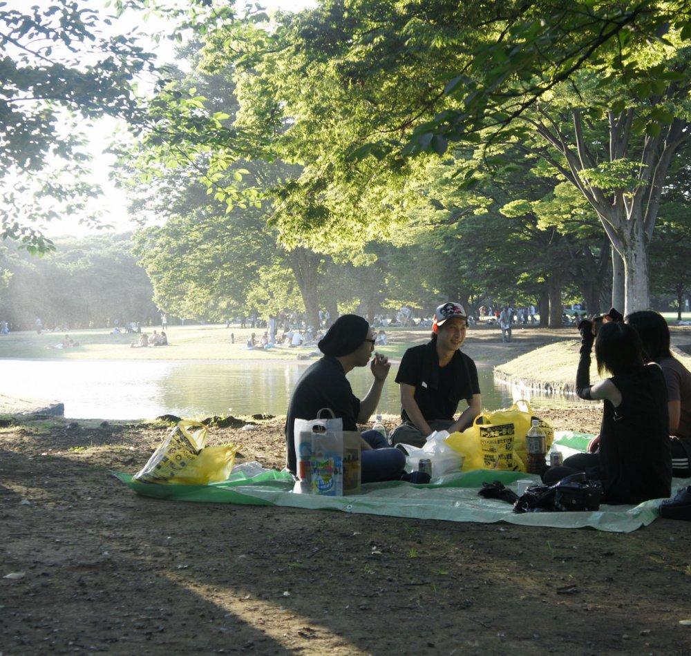 Parc Yoyogi à Tokyo, Hanami sous les sakura en fleurs au début du printemps
