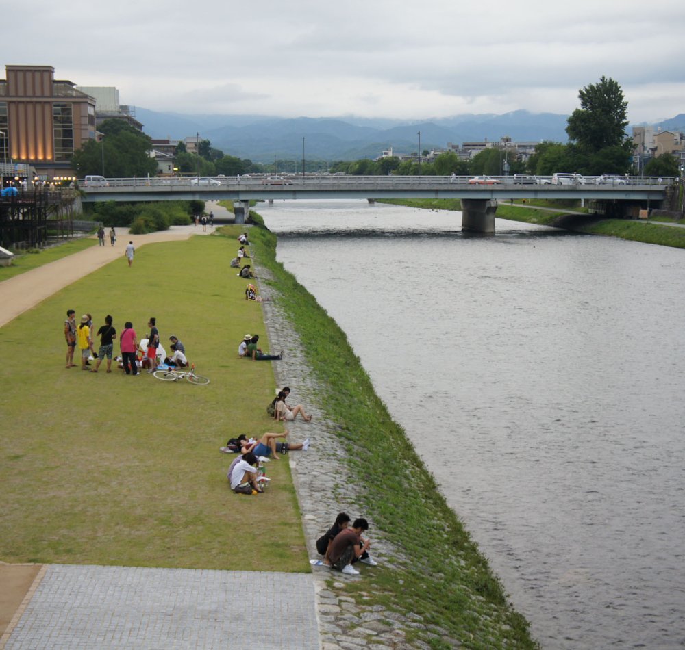 Kamo-gawa (Kyoto), vue sur le lit de la rivière bordée par les cerisiers en fleurs au printemps