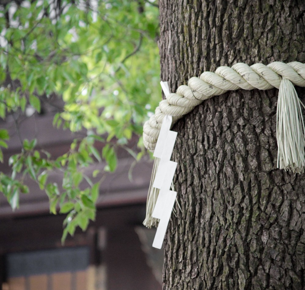 meiji-jingu-5