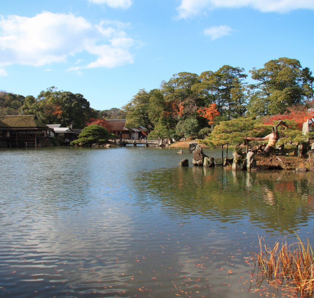 Hikone, Vue du donjon depuis un des jardins en automne