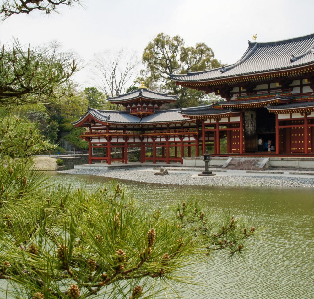 Temple Byodo-in à Uji, Vue d'ensemble du Pavillon du Phénix