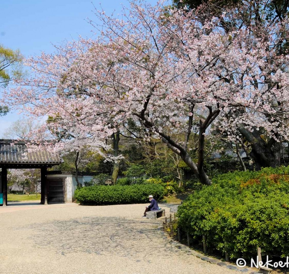 Keitaku-en (Osaka), Petit pont de pierre du jardin japonais