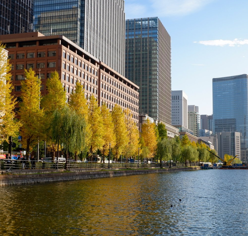 Vue sur la gare de Tokyo côté ouest depuis Marunouchi House