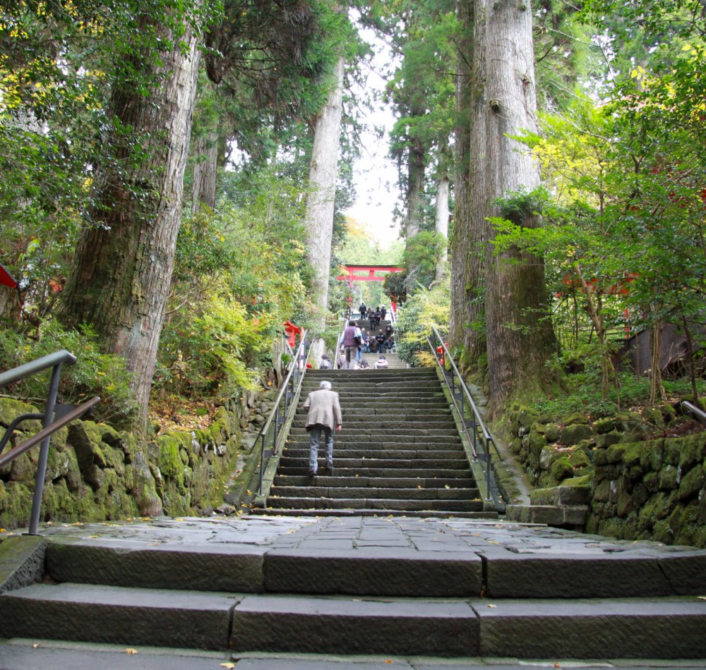 Hakone-jinja, Entrée du sanctuaire