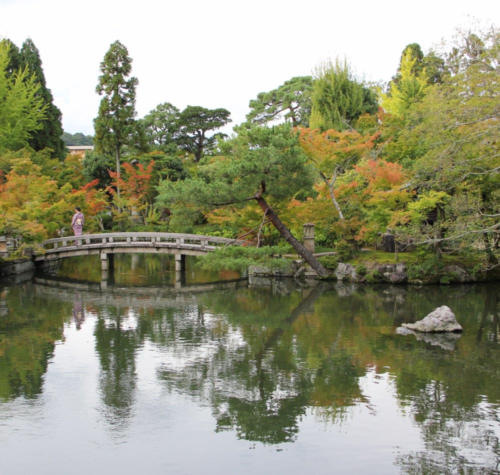 Eikan-do (Kyoto), Vue sur l'étang et les momiji au pic de l'automne