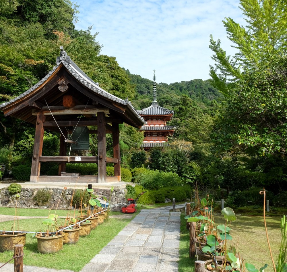 Mimuroto-ji, Pavillon principal Hondo