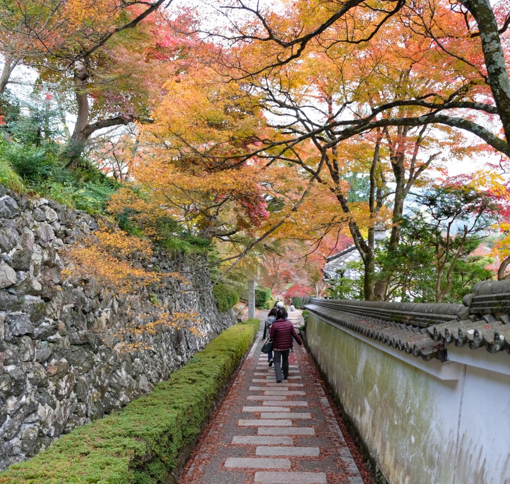 Yoshimine-dera à Kyoto, pagode Tahoto en automne
