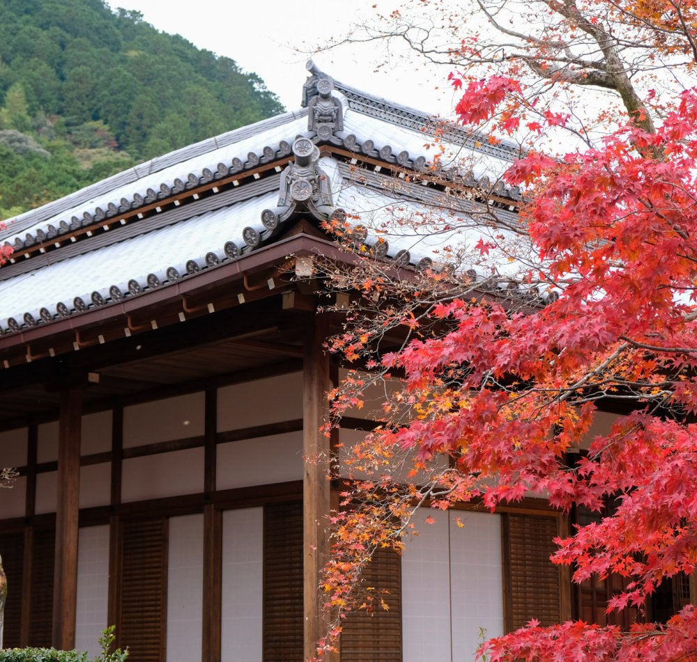 Bâtiment principal temple Jojakko-ji Bâtiment principal temple Jojakko-ji