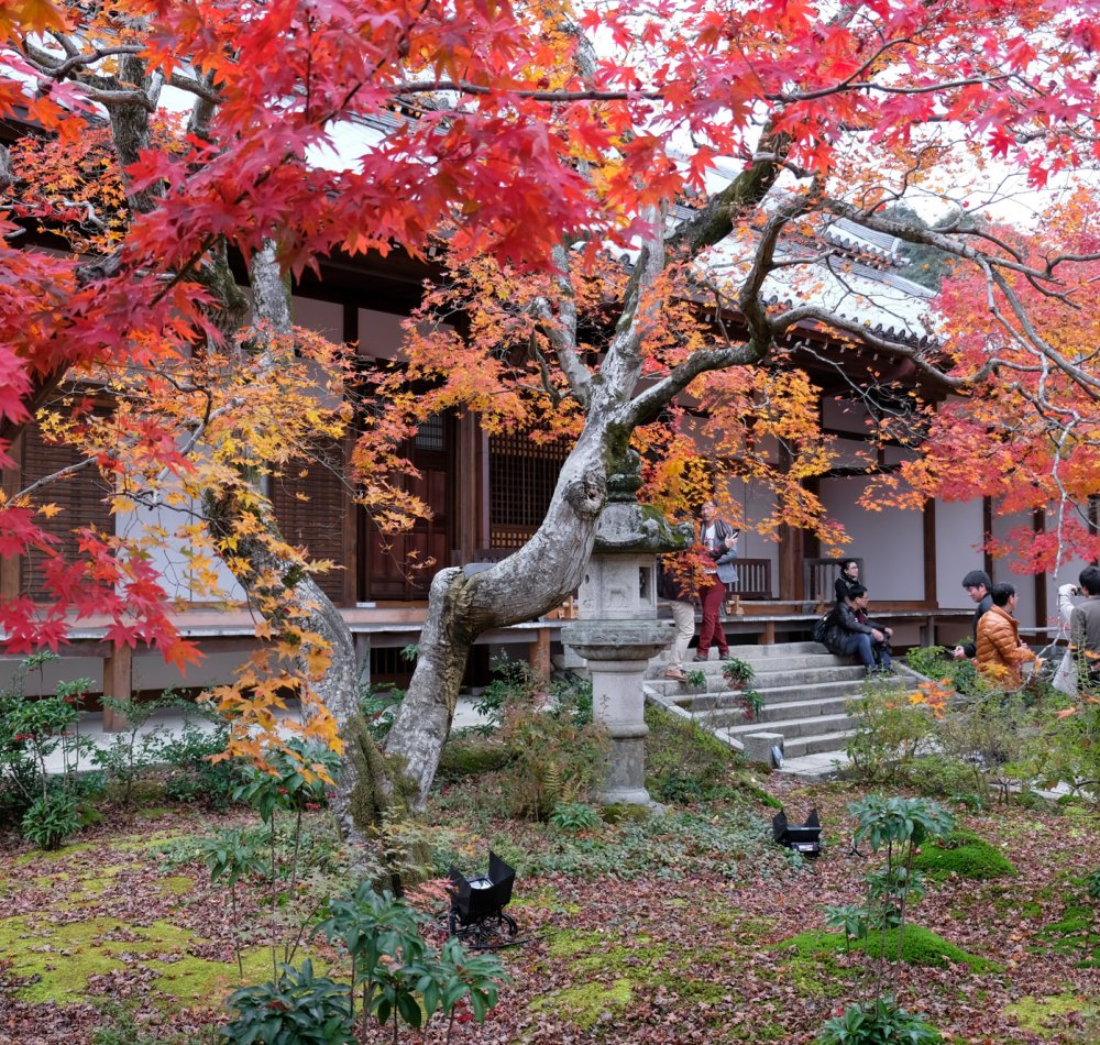 Bâtiment principal temple Jojakko-ji