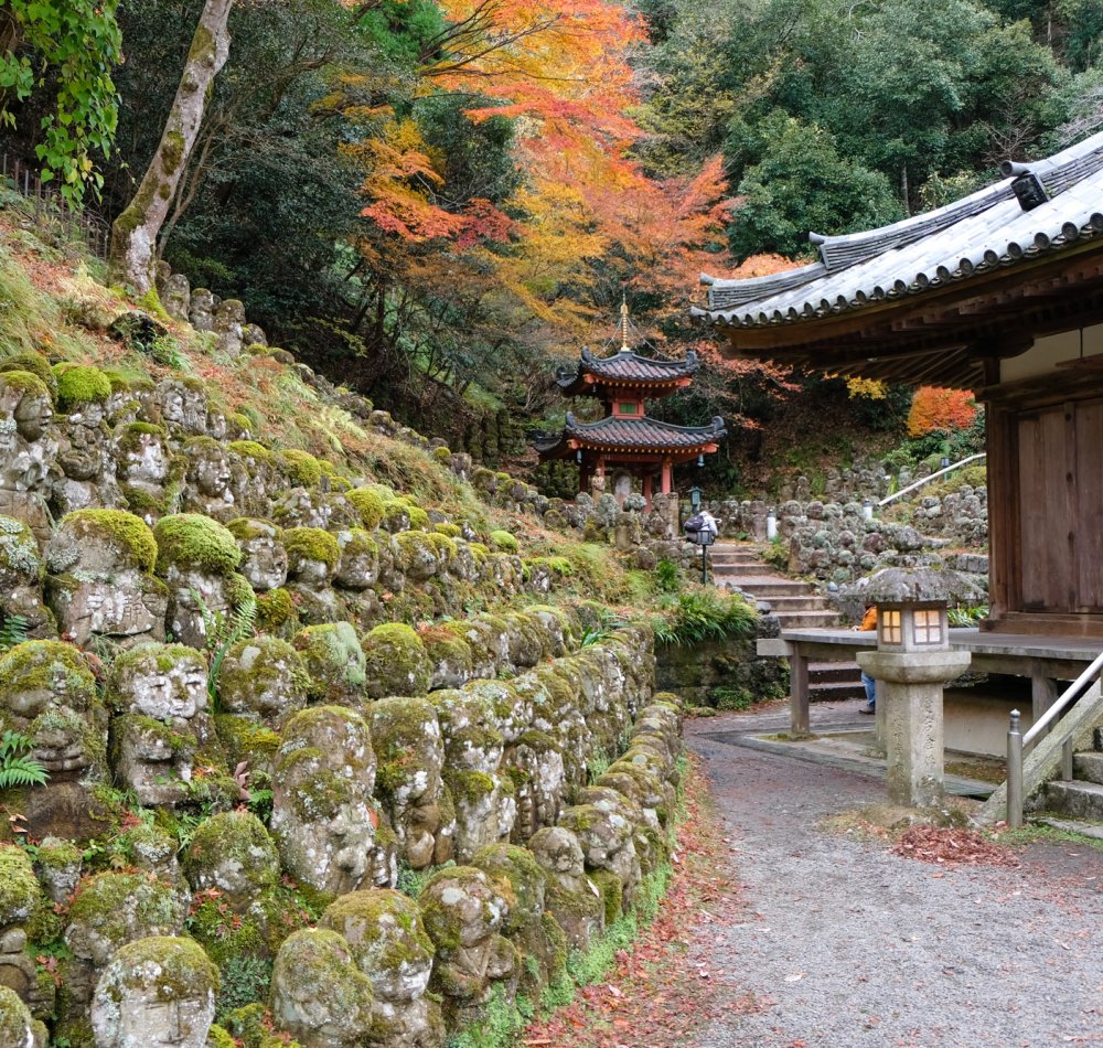 Otagi Nenbutsu-ji (Kyoto), rangées de statues Rakan autour du pavillon principal