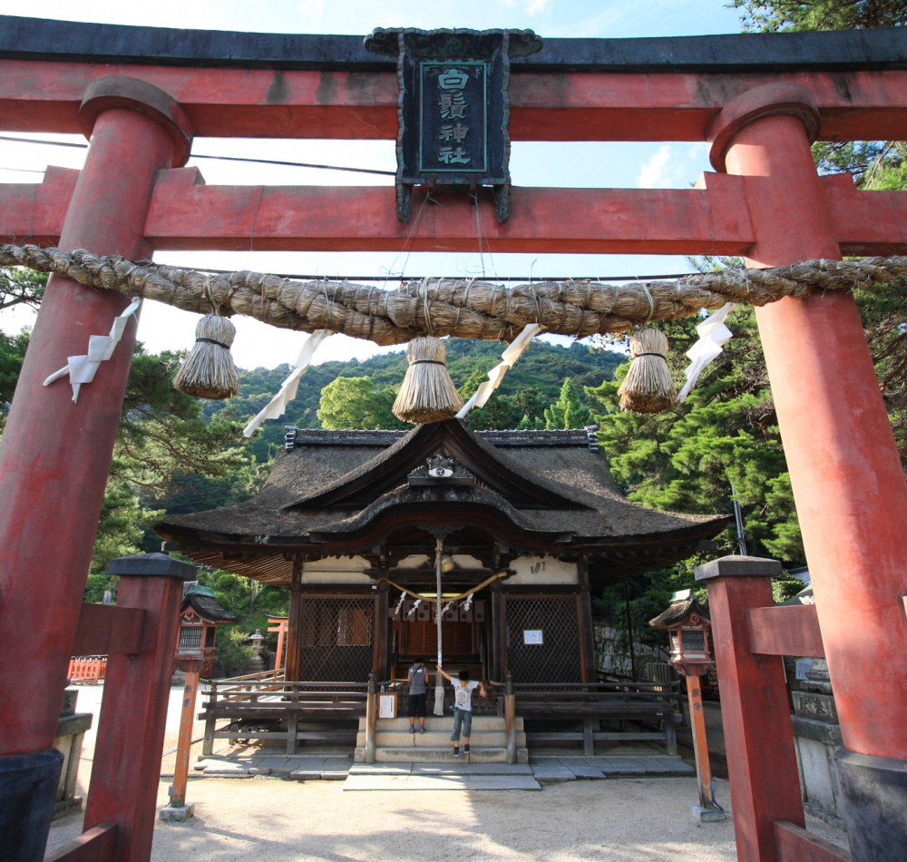 Shirahige Jinja, Torii flottant sur lac Biwa Shirahige Jinja, Torii flottant sur lac Biwa