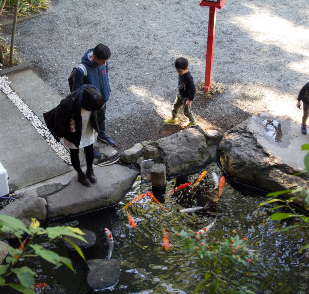 Sanctuaire Kinomiya-jinja à Atami