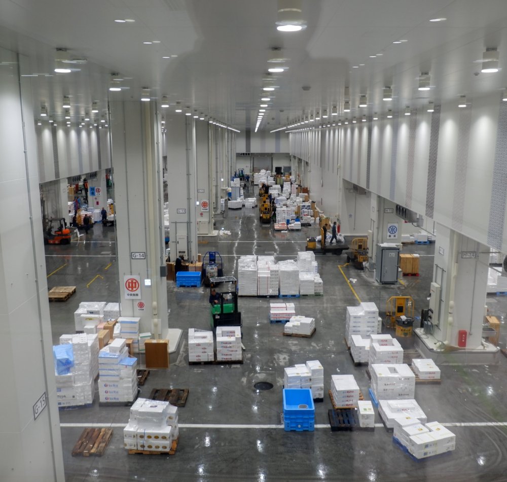 Observatoire du marché des fruits et légumes de Toyosu