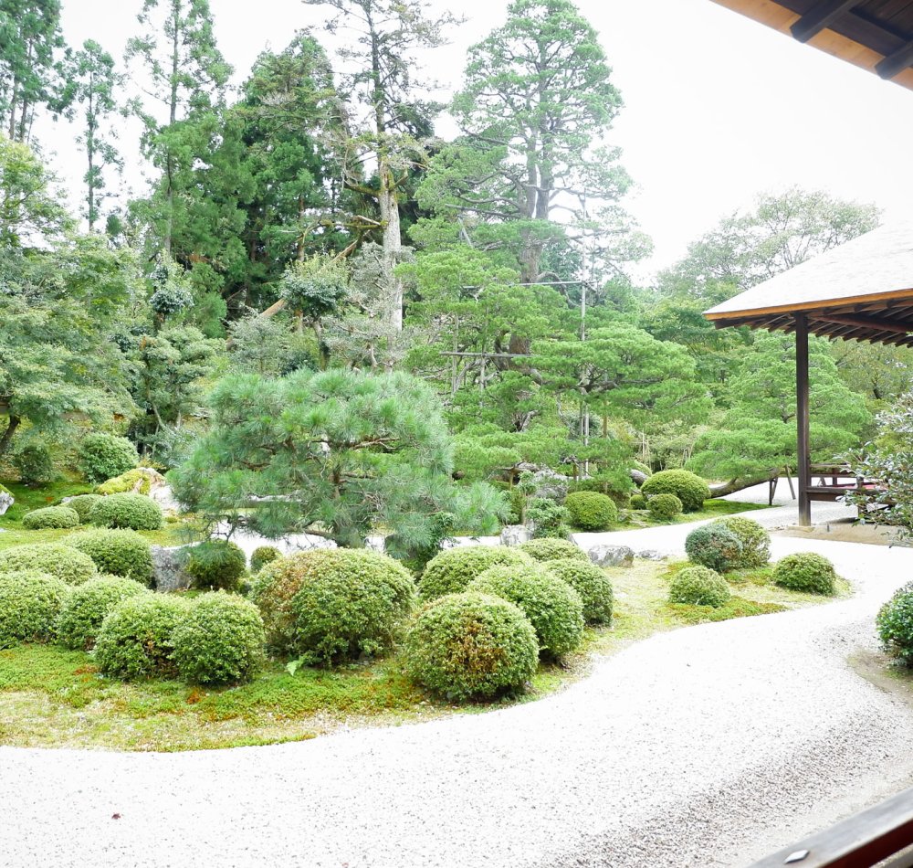 Manshu-in (Kyoto), vue sur Koshoin et le jardin en automne