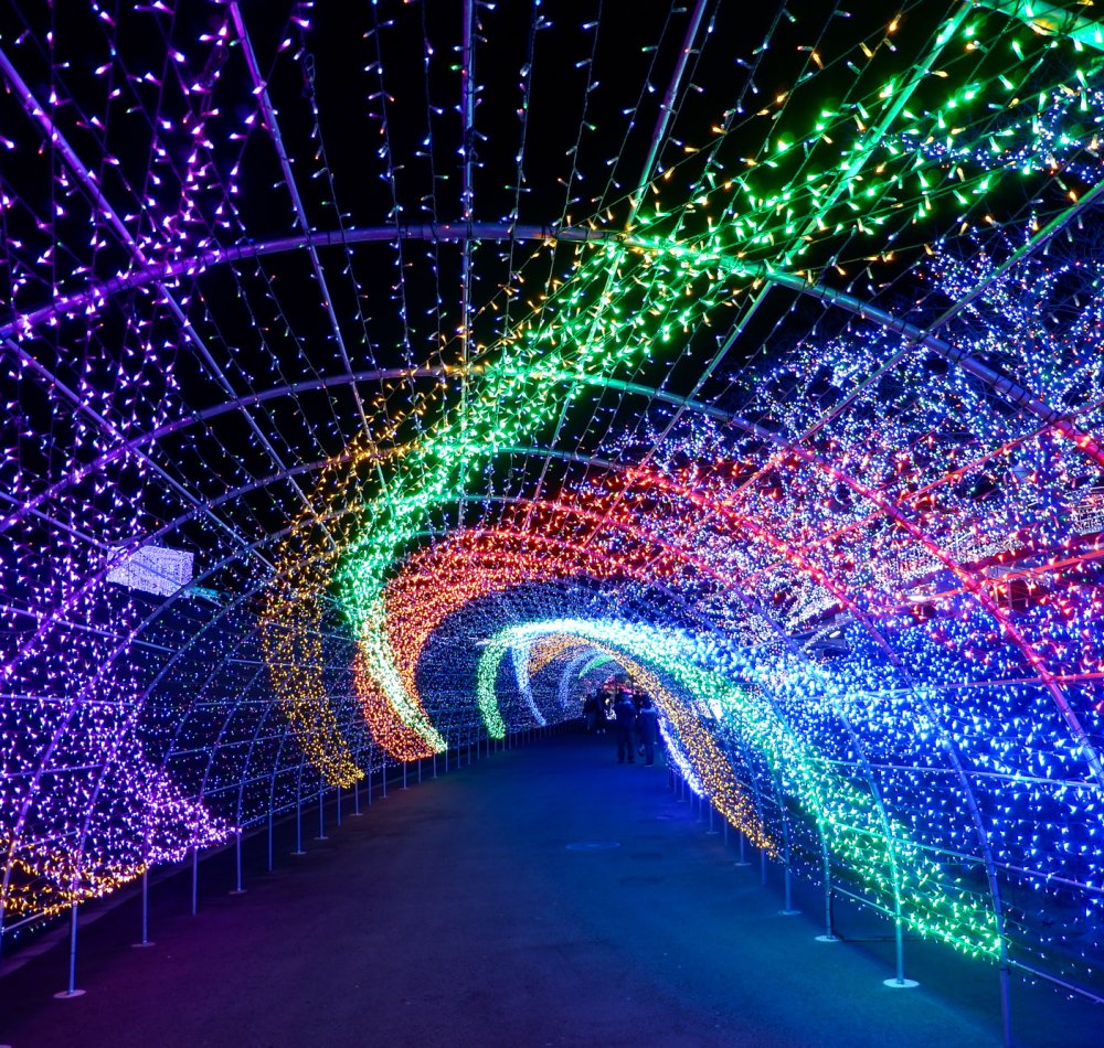 Illuminations nocturnes en hiver au parc Yomiuriland