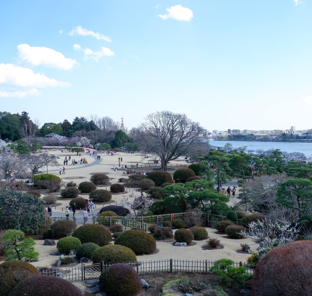 Parc aux pruniers japonais du jardin Kairaku-en (Mito)