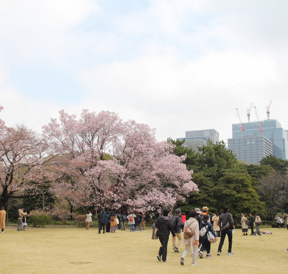 Etang et lanterne de pierre du jardin Ninomaru à Kokyo Higashi Gyoen, Tokyo