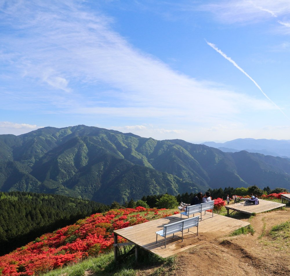 Vue sur les azalées du mont Yamato Katsuragi-san (Nara)