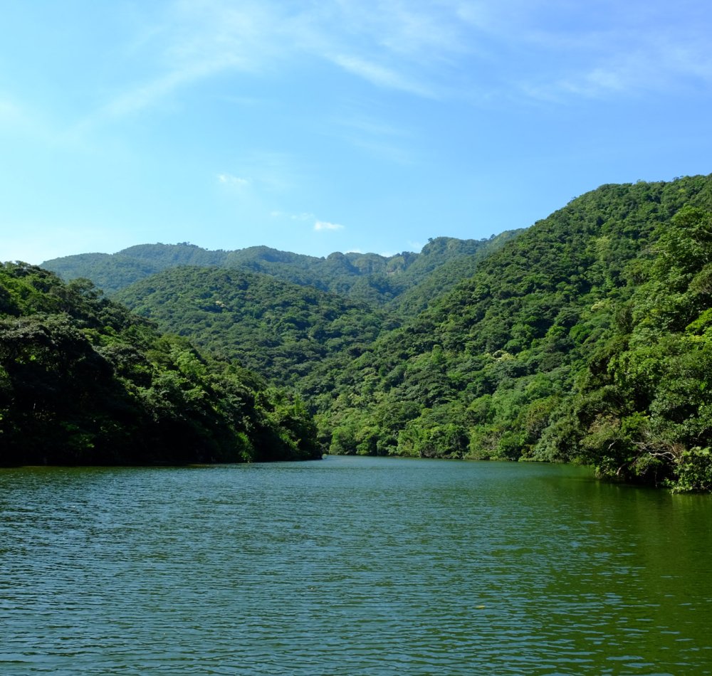 Iriomote (Yaeyama - Okinawa), croisière sur la rivière Urauchi