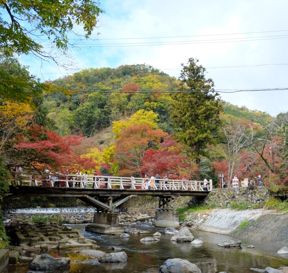 Ruriko-in, jardin Garyo-no-niwa en automne