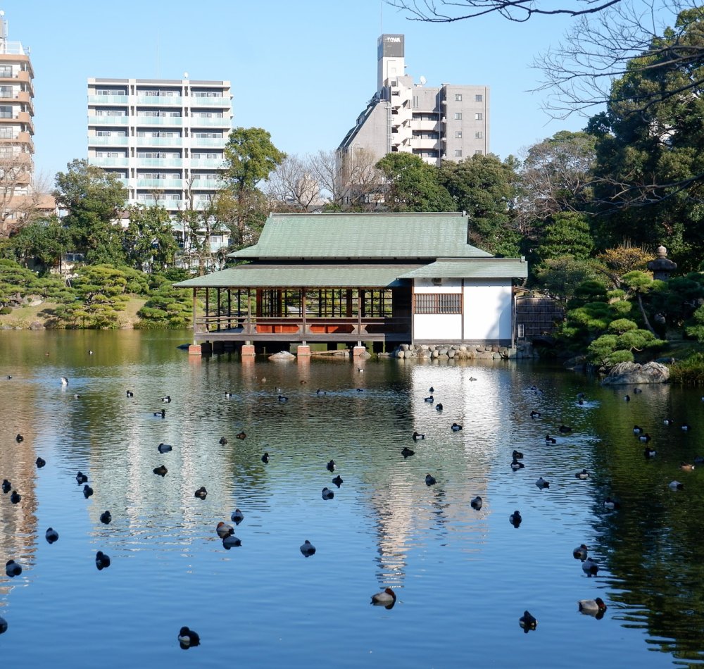 Kiyosumi Teien, chemin de pierre pas à pas Isowatari