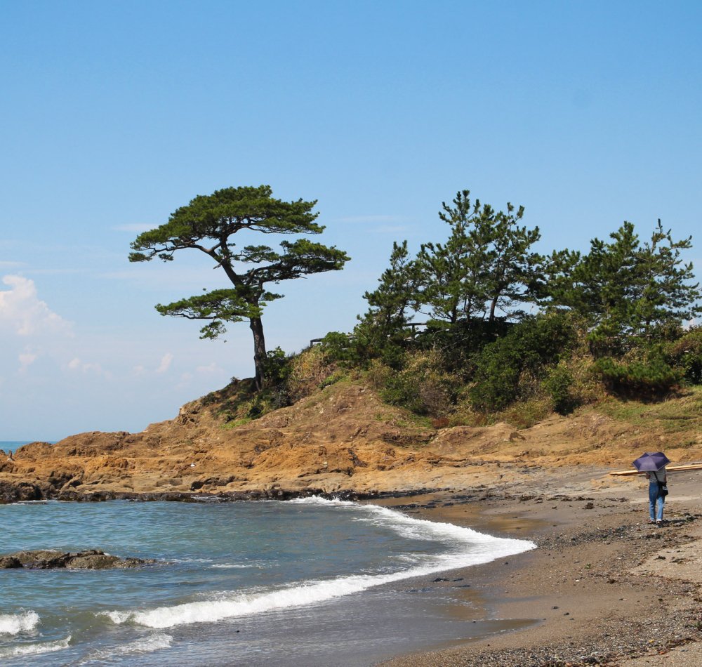 Yokosuka, parc Verny au printemps