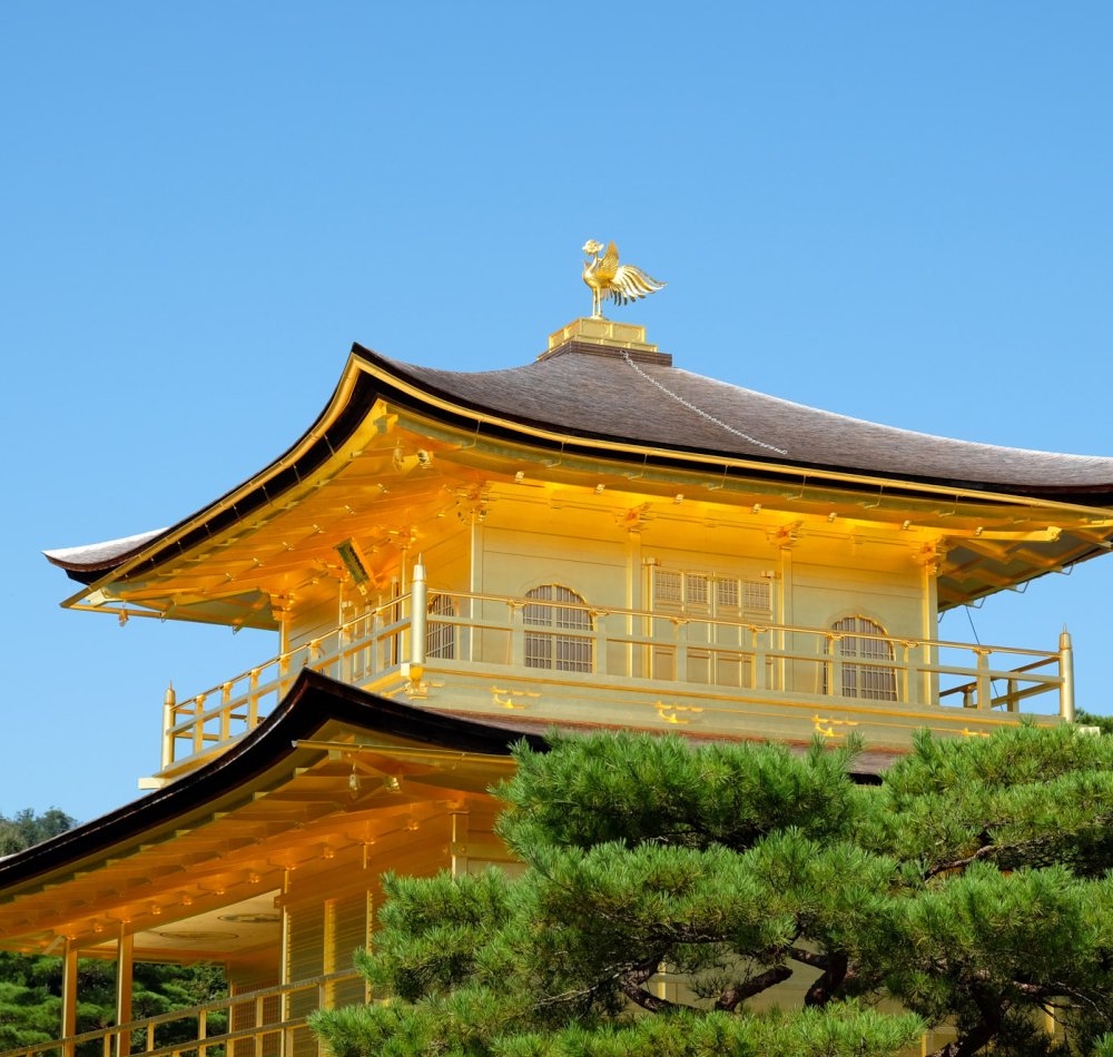 Kinkaku-ji (Kyoto), vue sur le Pavillon d'Or en octobre 2021 (après rénovation de son toit doré)