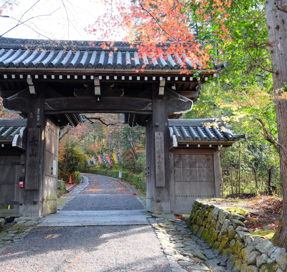 Sekizan Zen-in (Kyoto), pavillon principal du temple en automne