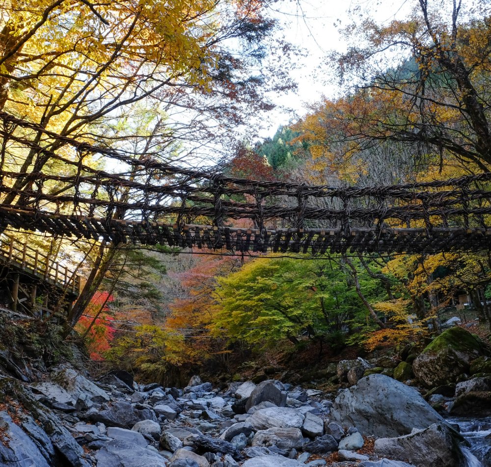 Vallée d'Iya (Shikoku), Pont suspendu Kazurabashi en automne