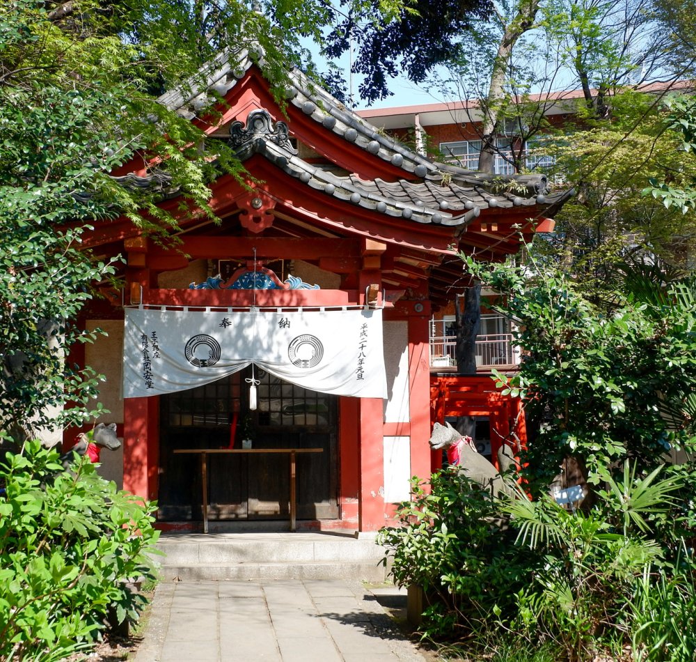 Oji (Tokyo), parc Otonashi Shinsui Koen et floraison des cerisiers japonais