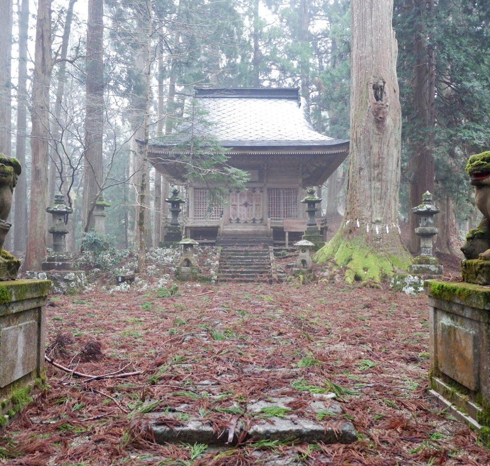 Kinpo-jinja (Akita), statue Komainu et pavillon principal du sanctuaire