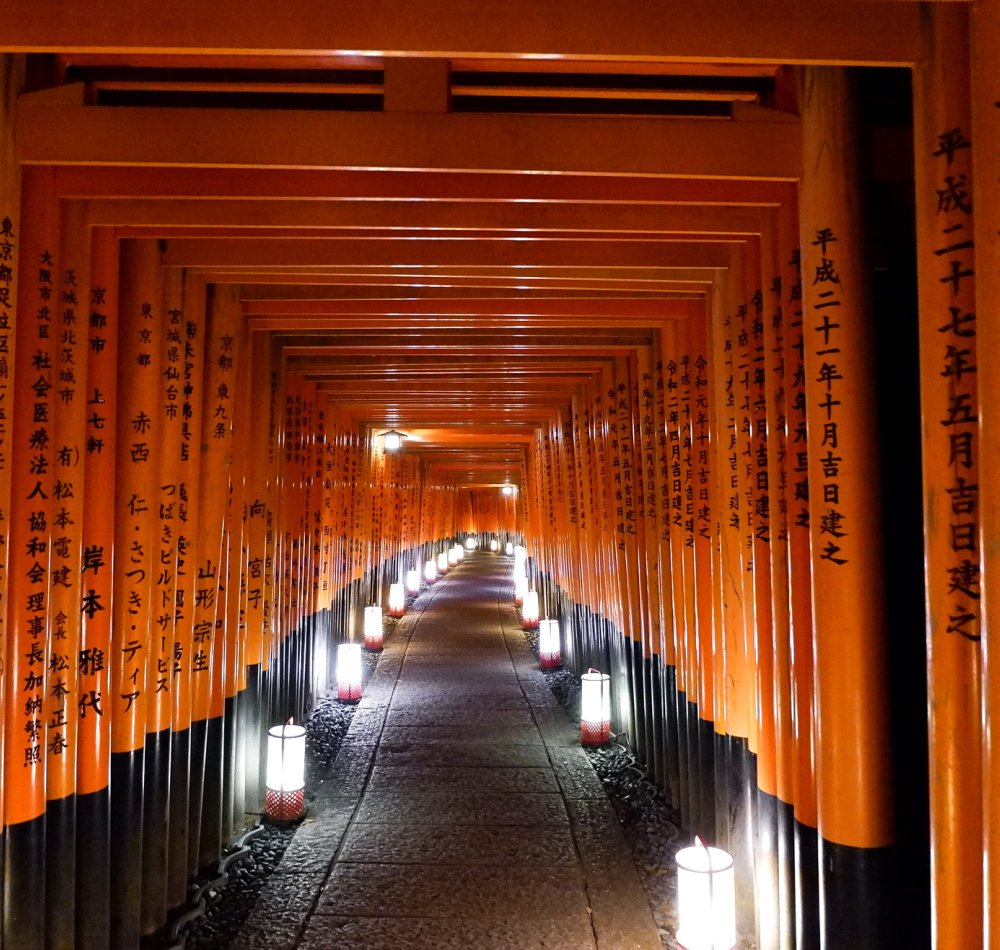 Fushimi Inari Taisha à Kyoto, Tunnel de portes torii en hiver