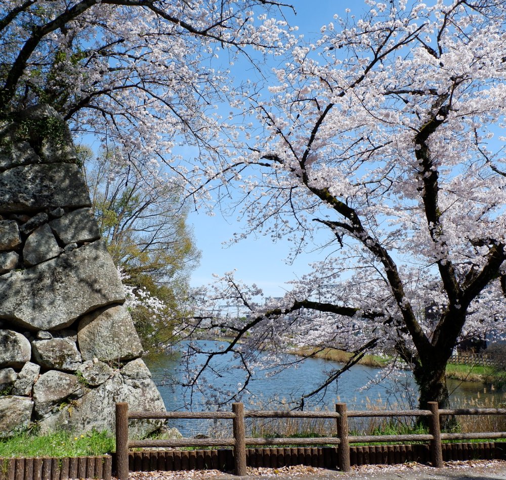 Château de Koriyama (Nara), vue panoramique depuis la plateforme d'observation de la base du donjon