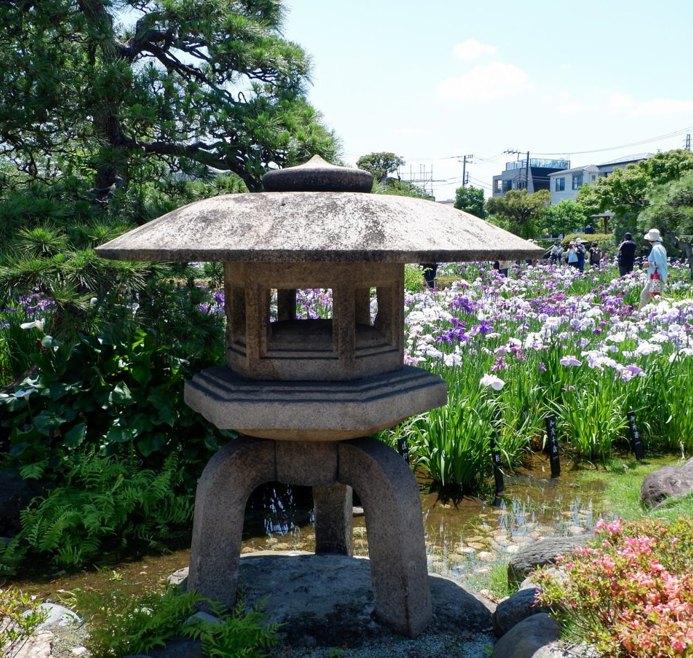  Horikiri Shobu-en (Tokyo), vue sur le jardin en période de floraison des iris (juin)
