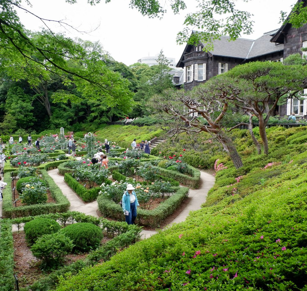 Kyu Furukawa Teien (Tokyo), vue sur le jardin de roses en fleurs devant l'ancienne résidence Furukawa