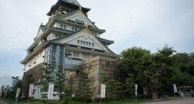 Chateau d'Osaka, vue sur les cerisiers en fleur et le donjon