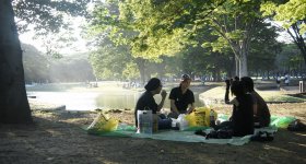 Parc Yoyogi à Tokyo, Hanami sous les sakura en fleurs au début du printemps