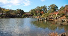 Hikone, Vue du donjon depuis un des jardins en automne