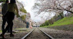 Keage Incline (Kyoto), voies de chemin de fer et cerisiers en fleurs au printemps