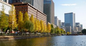 Vue sur la gare de Tokyo côté ouest depuis Marunouchi House