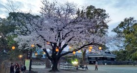 Château de Kumamoto, donjon Tenshukaku reconstruit depuis 2021